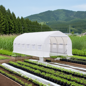 Invernadero Tunel 24 m2 8x3x2m Blanco