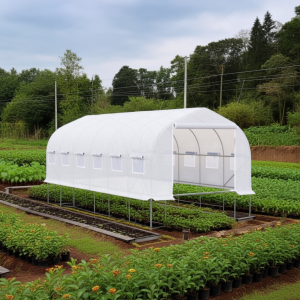 Invernadero Tunel 18 m2 6x3x2m Blanco
