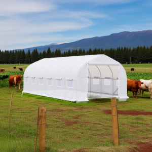 Invernadero Tunel 18 m2 6x3x2m Blanco