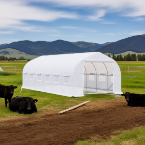 Invernadero Tunel 24 m2 8x3x2m Blanco