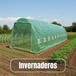 Invernaderos